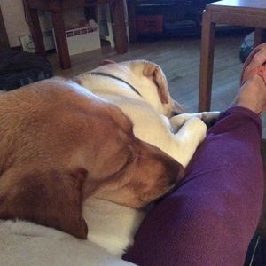 Meet your Posher, Posh